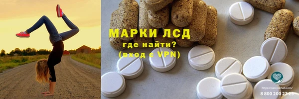 ПСИЛОЦИБИНОВЫЕ ГРИБЫ Гусиноозёрск