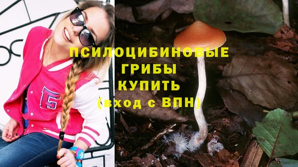 винт Зерноград